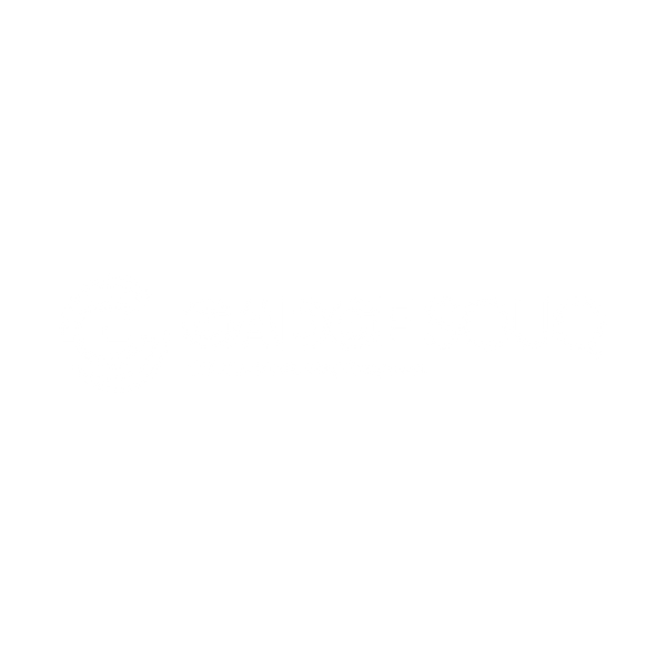 Gadge Souq